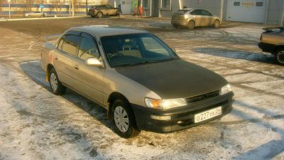 Лот: 6379418. Фото: 1. Toyota Corolla. Автомобили