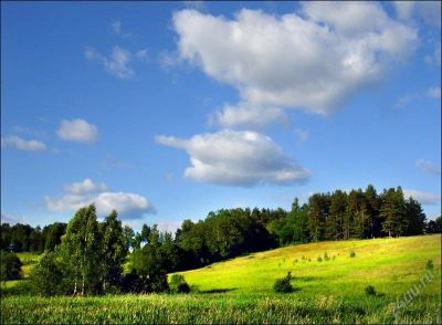 Лот: 2886651. Фото: 1. Продам участок 8 соток собственность... Земельные участки