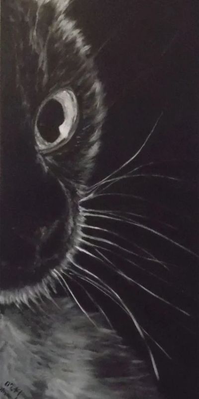 Лот: 4634025. Фото: 1. Картина "Черный кот". Картины, рисунки