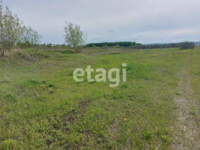 Лот: 25291489. Фото: 1. участок , Красноярск Красноярск... Земельные участки