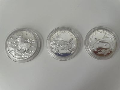 Лот: 19084860. Фото: 1. 1 Рубль Красная книга 2006 год... Россия после 1991 года