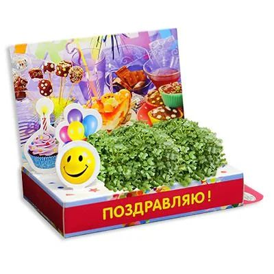 Лот: 8460951. Фото: 1. Подарочный набор для выращивания. Открытки, конверты