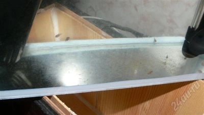 Лот: 682082. Фото: 1. Мальки рыбок цихлазома альбинос. Рыбки