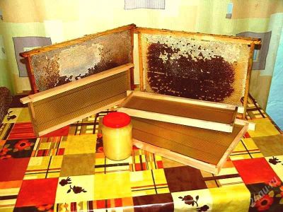 Лот: 1847342. Фото: 1. Мёд 2017 с разнотравья, сибирский... Мёд, продукты пчеловодства