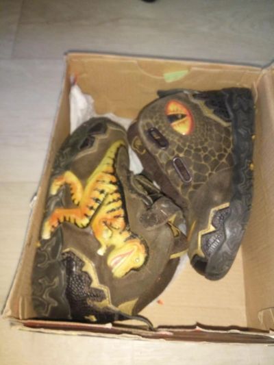 Лот: 11511888. Фото: 1. Dinosoles (Динозавры). Ботинки