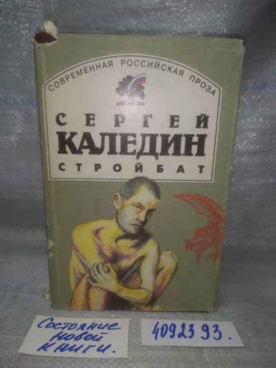 Лот: 25810486. Фото: 1. ozЮ/вбР(4092393)Каледин Сергей... Художественная