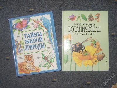 Лот: 2064508. Фото: 1. Книги детские познавательные. Другое (литература, книги)