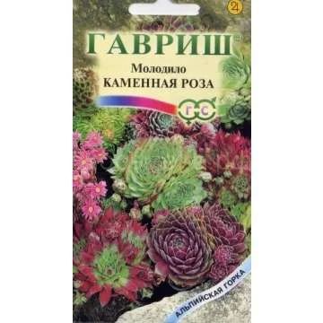 Лот: 11025448. Фото: 1. Молодило Каменная Роза* 0,01 г... Садовые цветы