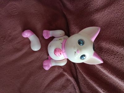 Лот: 23516695. Фото: 1. Кошка музыкальная, на запчасти. Музыкальные