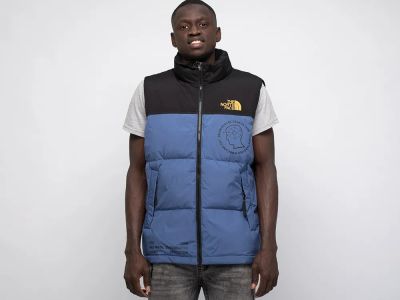 Лот: 18814011. Фото: 1. Жилет The North Face. Верхняя одежда