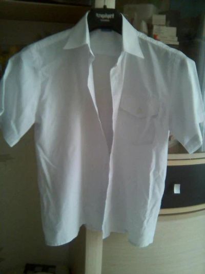 Лот: 12118579. Фото: 1. Рубашки с коротким рукавом 3 штуки. Рубашки, блузки, водолазки