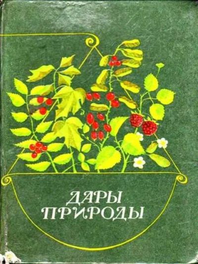 Лот: 12256395. Фото: 1. Дары природы. Сад, огород, цветы