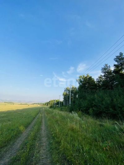 Лот: 24969998. Фото: 1. Продам участок 12 сот. Северо-Енисейский... Земельные участки
