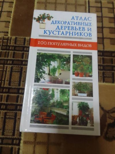 Лот: 23074359. Фото: 1. Атлас декоративных деревьев и... Сад, огород, цветы