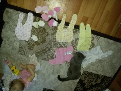 Лот: 6888527. Фото: 1. Пакет одежды для новорожденных... Ползунки, распашонки, слипы