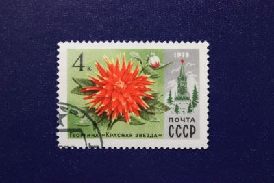Лот: 6855973. Фото: 1. Почтовая марка №4081 в коллекцию. Марки
