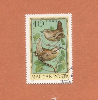 Лот: 10981069. Фото: 1. Марка "Птицы". 1973. Венгрия. Марки