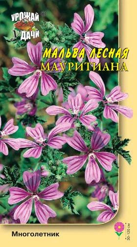 Лот: 12884835. Фото: 1. Семена мальвы лесной "Мауритиана... Садовые цветы