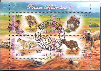 Лот: 3248954. Фото: 1. малый лист леопарды. Марки