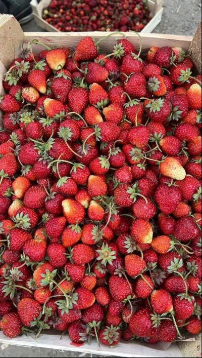 Лот: 20337565. Фото: 1. 🍓🍓🍓Клубника ящик. Ягоды, орехи