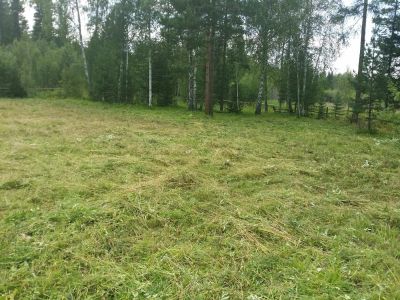 Лот: 5274289. Фото: 1. Учаток 16 соток. Снежница. Земельные участки