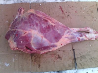 Лот: 8660370. Фото: 1. целиком ЗАДОк (четверть) Телятина-Говядина... Мясо, птица, яйцо