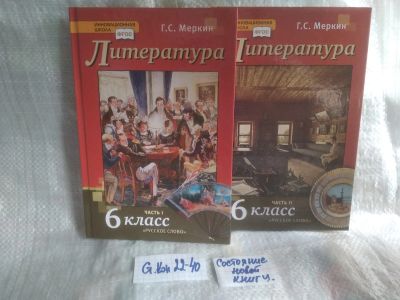 Лот: 25851536. Фото: 1. озю..вбю..(ст. кон. 22-40) Литература... Для школы