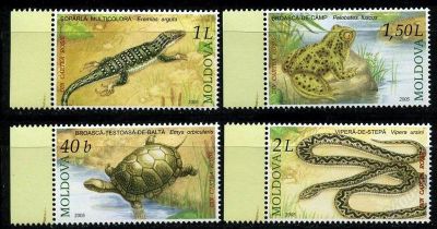 Лот: 2223583. Фото: 1. молдова 2005 фауна. Марки