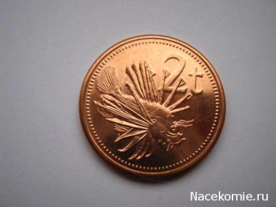 Лот: 5200726. Фото: 1. 2 тое Папуа-Новая Гвинея 2004г... Австралия и Океания