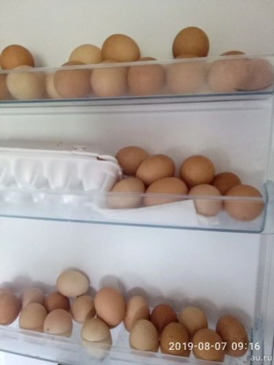 Лот: 14331114. Фото: 1. яйцо куринное домашнее. Мясо, птица, яйцо