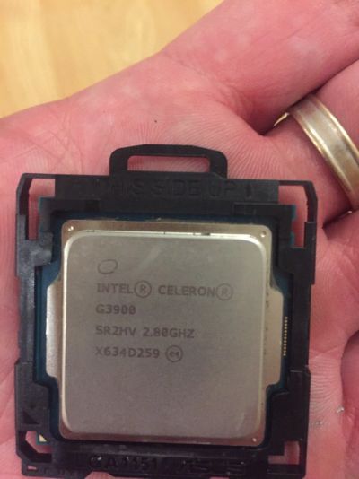 Лот: 12630263. Фото: 1. Процессор Intel Celeron G3900. Процессоры