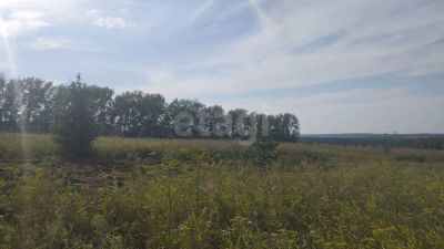 Лот: 21023945. Фото: 1. участок , село Сухобузимское улица... Земельные участки