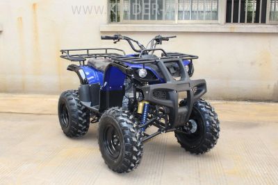 Лот: 3980234. Фото: 1. Квадроцикл Quad 250. Снегоходы, квадроциклы