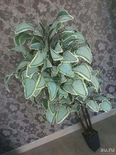 Лот: 10068006. Фото: 1. Искуственное дерево. Декоративные кустарники и деревья