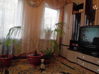 Лот: 4021102. Фото: 1. Пальма. Горшечные растения и комнатные цветы