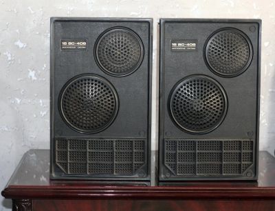 Лот: 25124709. Фото: 1. Вега 15ас-408. Пассивные акустические системы