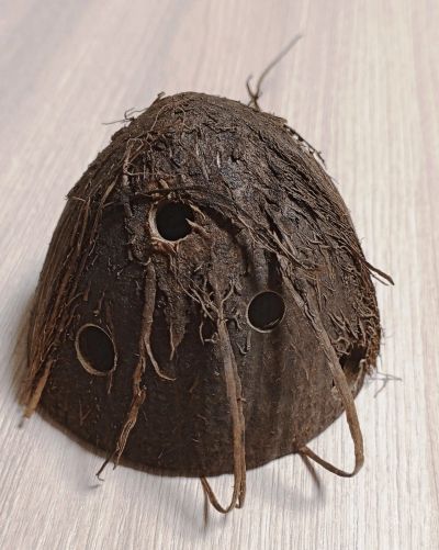 Лот: 21577818. Фото: 1. Декорация из кокоса, убежище для... Грунты, украшения, наполнения