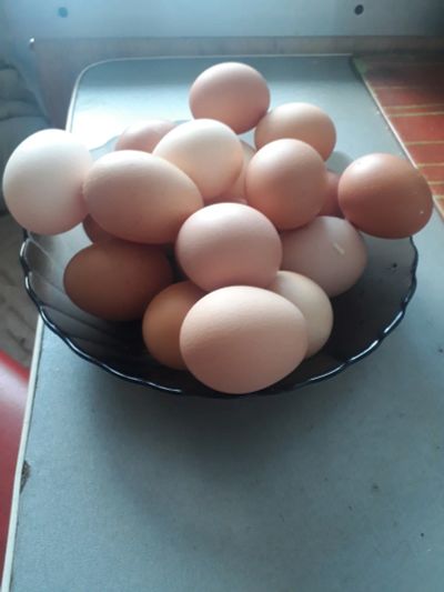 Лот: 16305822. Фото: 1. Яйцо домашне. Мясо, птица, яйцо