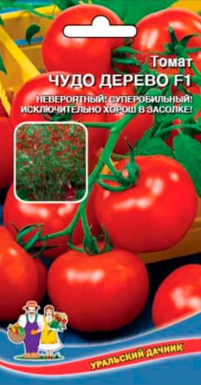 Лот: 24898743. Фото: 1. Семена томата Чудо дерево F 1. Другое (семена, рассада, садовые растения)