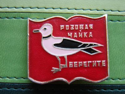Лот: 4344006. Фото: 1. Значок Розовая чайка. Сувенирные