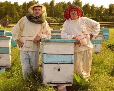 Лот: 5861193. Фото: 1. МЕД Свежий 2024 г. разнотравье... Мёд, продукты пчеловодства