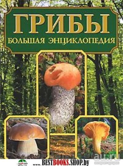 Лот: 9348096. Фото: 1. Большая энциклопедия "Грибы". Энциклопедии