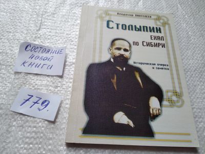 Лот: 19282110. Фото: 1. Пантелеев В.И. Столыпин ехал по... История