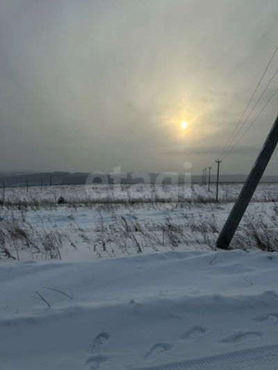 Лот: 25322274. Фото: 1. участок , СНТ Берёзка СНТ Берёзка... Земельные участки