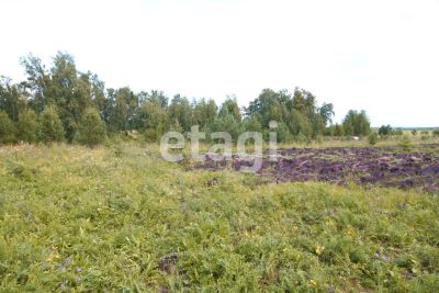 Лот: 25295460. Фото: 1. участок , ДНТ Ермолаевское-2 ДНТ... Земельные участки