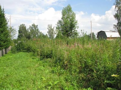 Лот: 3034650. Фото: 1. Участок на ст. Рябинино, 10 сот... Земельные участки