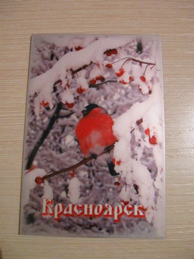 Лот: 18614527. Фото: 1. Магнит Красноярск. Зима. Снегирь. Магниты сувенирные