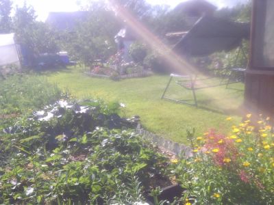 Лот: 6841689. Фото: 1. дача. Дачи