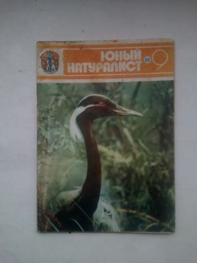 Лот: 24792705. Фото: 1. Журнал. Юный натуралист. 1980... Детские