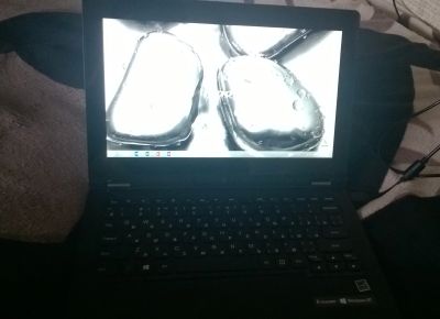 Лот: 11826151. Фото: 1. Ультрабук Lenovo ideapad 11. Ноутбуки